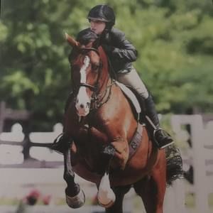 Meet your Posher, Maggie